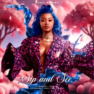 Babes wodumo – sip and see feat. madanon jay music don edward frost 1