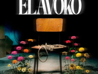 Calema ft. anderson mario – elavako 768x768 1