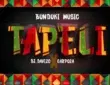 Dj davizo x carpoza tapeli 747x420